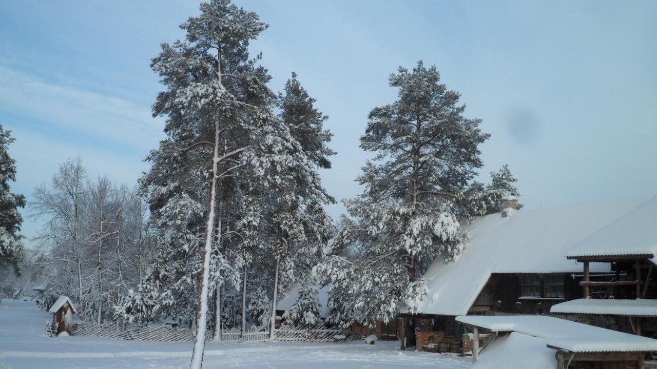 Viruna Farm Kiraste Exterior foto